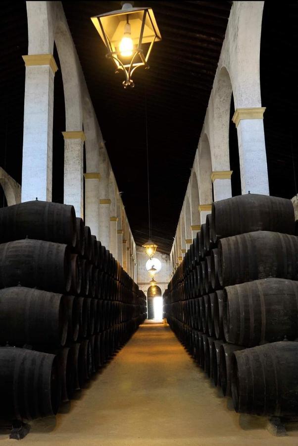 Sherryflat Palmeras Jerez de la Frontera Exterior photo